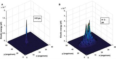 Analysis of Energy Transport Behavior and Geometric Effects in Graphene